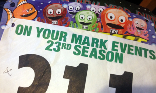 bibs1